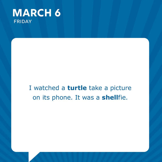 BOOK : Dad Jokes Boxed Calendar