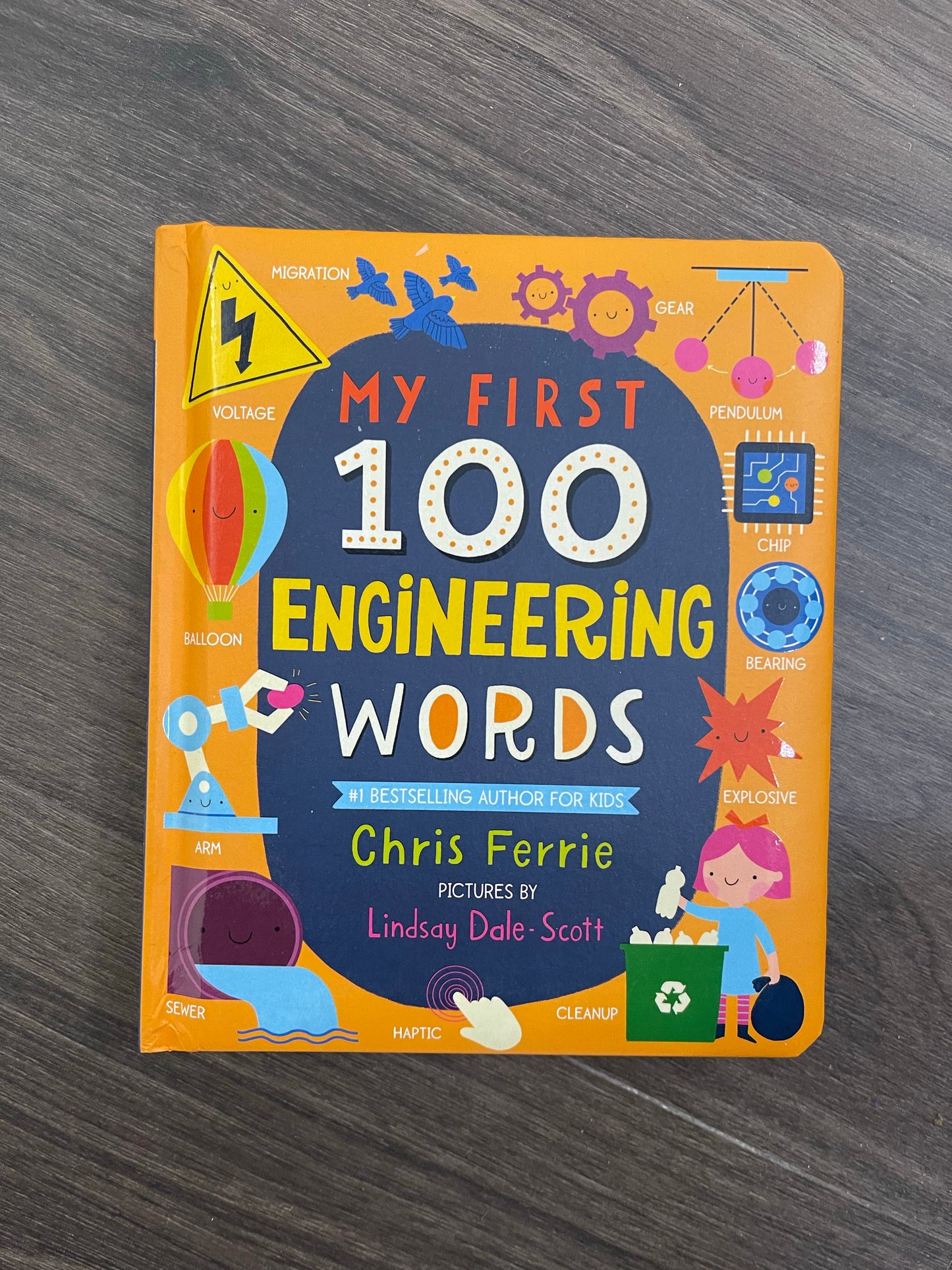 BOOK: My FIRST 100...