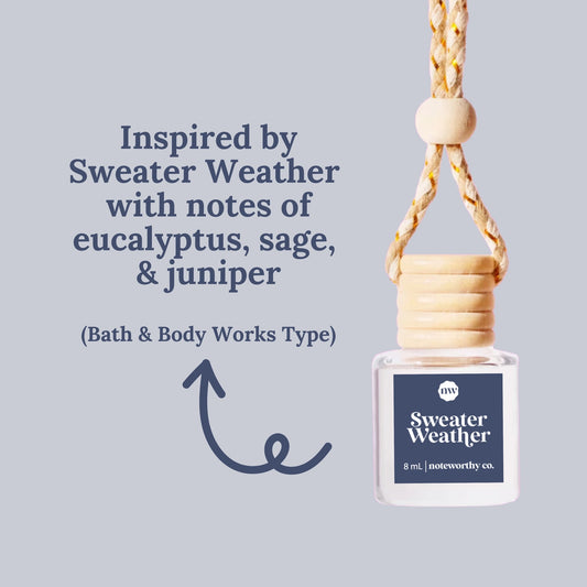 Car Diffusers