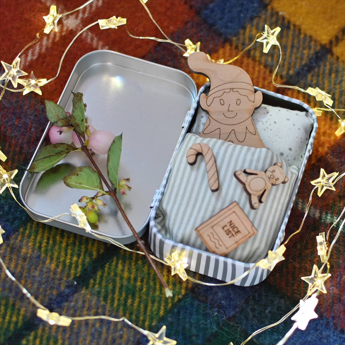 'Please Take Care of Me' - Advent Elf
