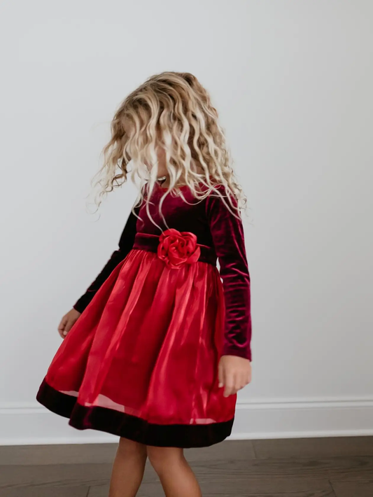 Holiday Red Velvet Dress