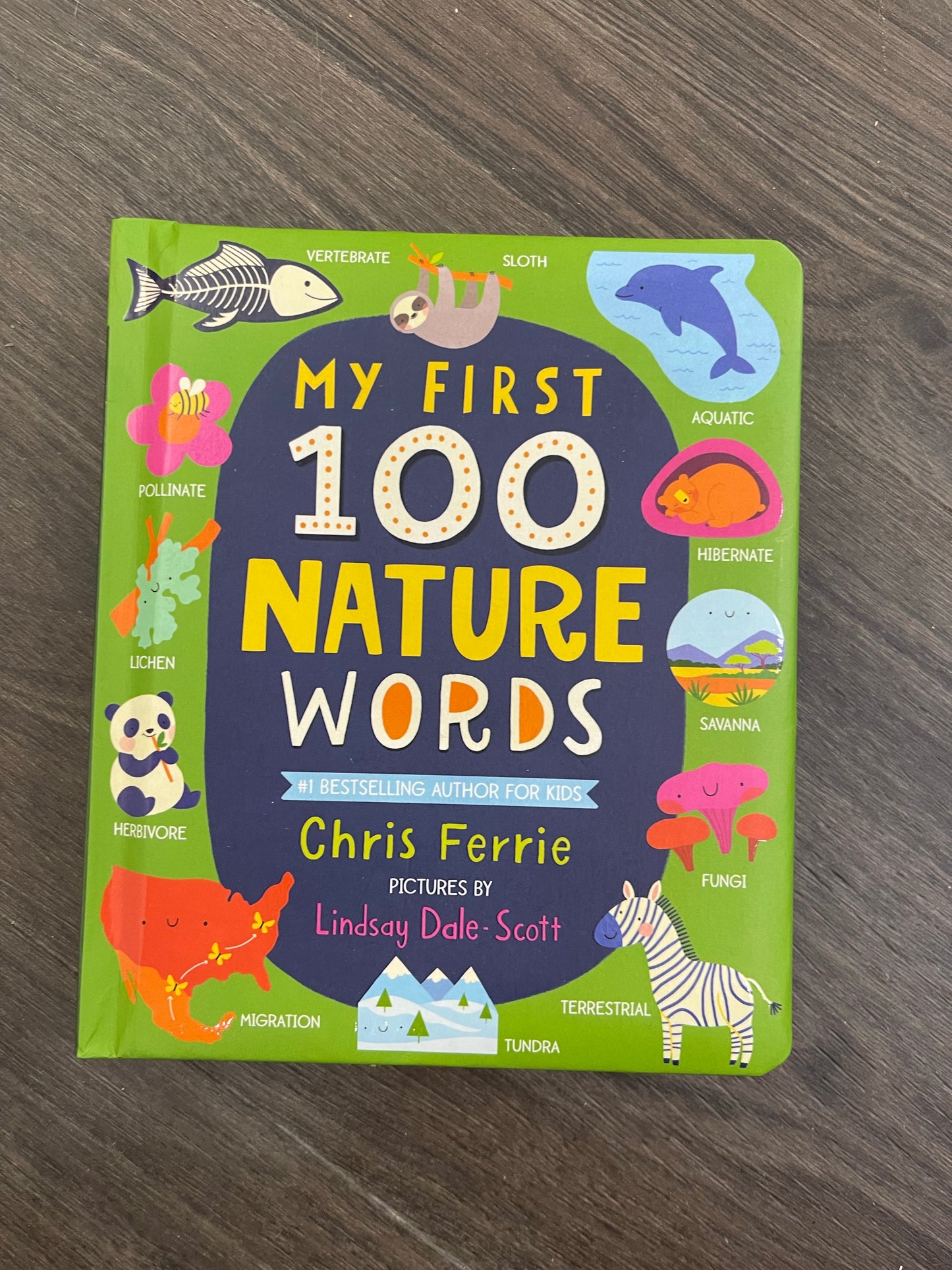 BOOK: My FIRST 100...