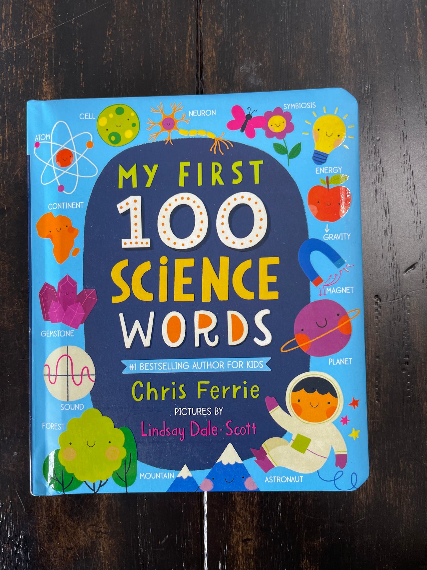 BOOK: My FIRST 100...